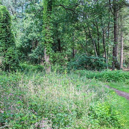 Huiske Oan T Bos Lage Mierde Eksteriør billede