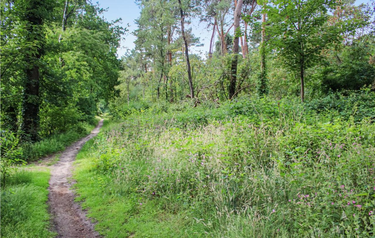 Huiske Oan T Bos Lage Mierde Eksteriør billede